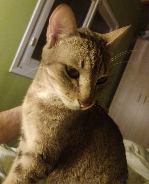 Luna